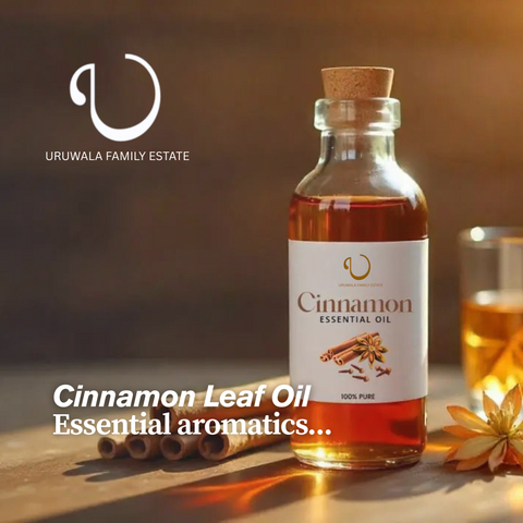 URUWALA CINNAMON Oil -30ml